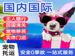哈尔滨太平机场快递国际宠物托运 【国